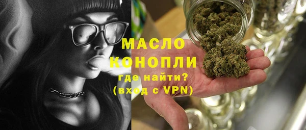 сатива Волоколамск
