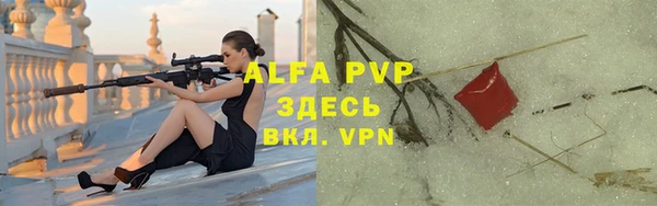 стаф Володарск