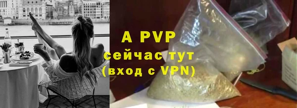 сатива Волоколамск