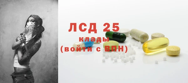 сатива Волоколамск