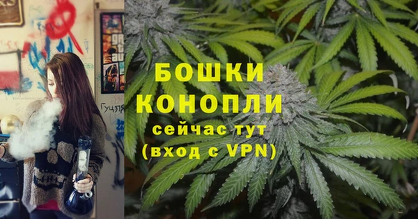 сатива Волоколамск