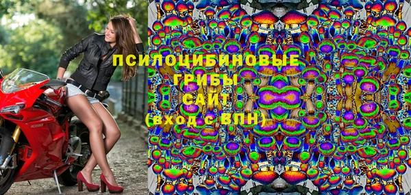стаф Володарск