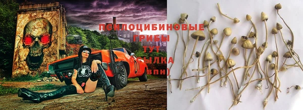 стаф Володарск