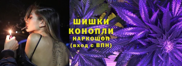 сатива Волоколамск
