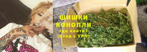 стаф Володарск