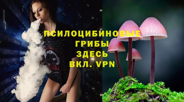 сатива Волоколамск