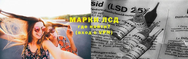 стаф Володарск